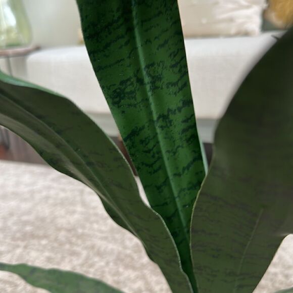 Homegoods 2 Faux Snake Plant Vases - Picture 4 of 4